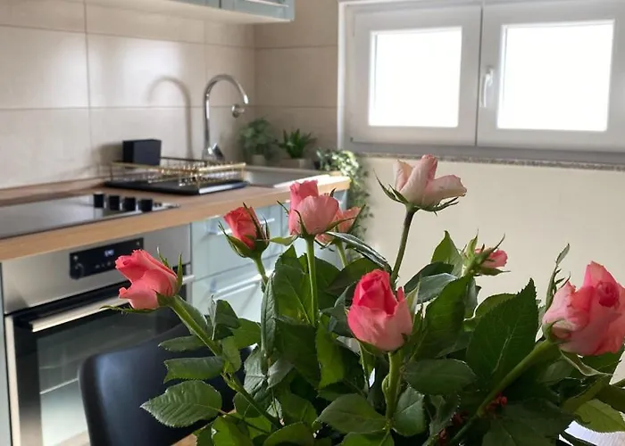 Jozephine 3 By Guide *