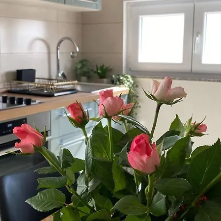 Jozephine 3 By Guide *